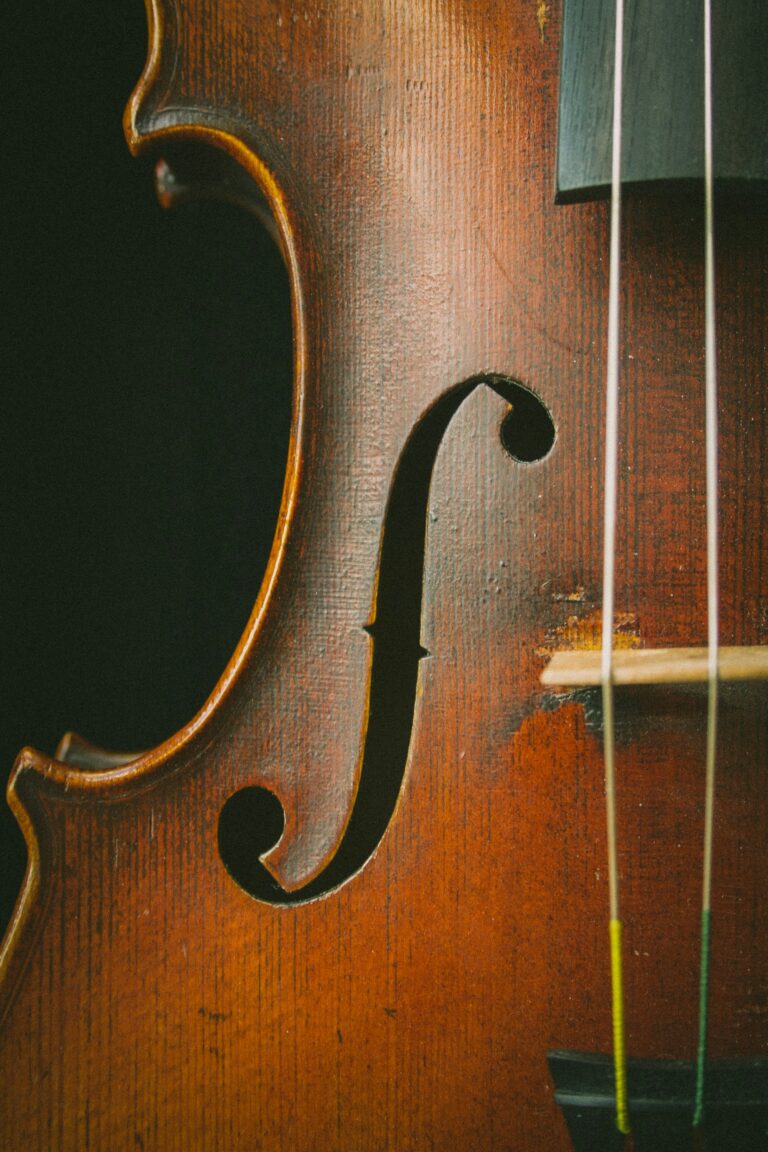 violoncelle en gros plan sur fond noir